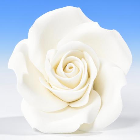 White Sugar Rose Head